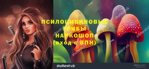 кокс Абаза