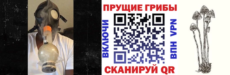 Галлюциногенные грибы Magic Shrooms  Каменка 